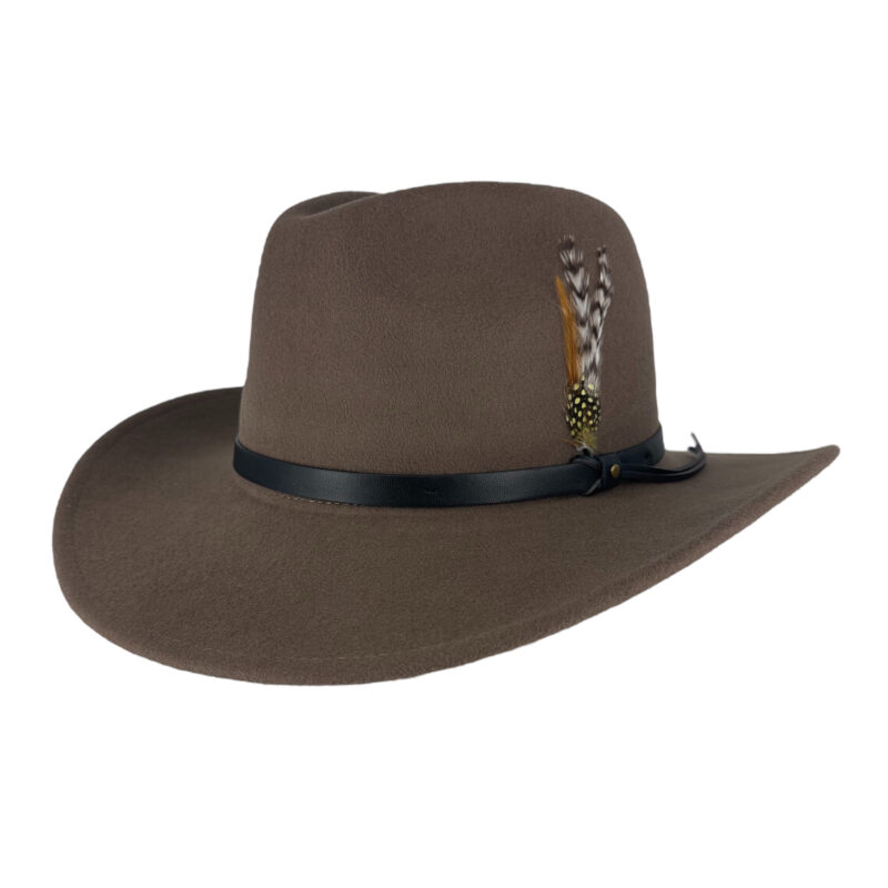 Deluxe Fedora Felt Wool Hat w Feather - Brown